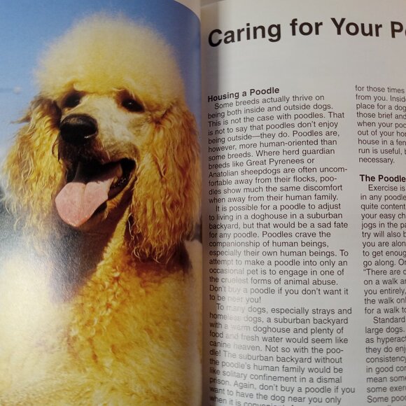 Poodles (Barron's Complete Pet Owner's Manuals) by Joe Stahlkuppe - Picture 8 of 10